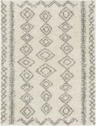 Surya Taza Shag TZS-2320 Area Rug main image