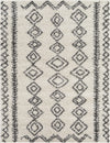 Surya Taza Shag TZS-2321 Area Rug main image