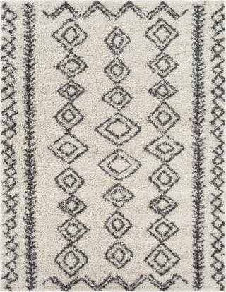 Surya Taza Shag TZS-2321 Area Rug main image