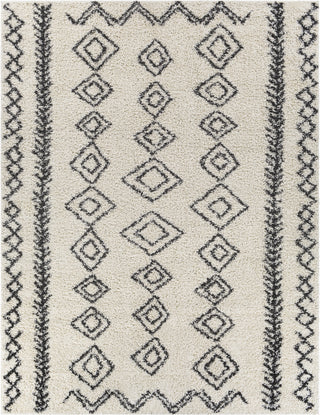 Surya Taza Shag TZS-2321 Area Rug Main Image