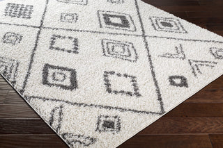 Surya Taza Shag TZS-2322 Area Rug Corner Shot