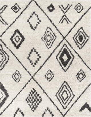 Surya Taza Shag TZS-2322 Area Rug Main Image