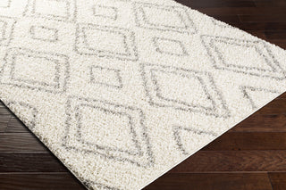 Surya Taza Shag TZS-2323 Area Rug Corner Shot