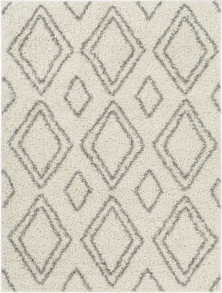 Surya Taza Shag TZS-2323 Area Rug main image