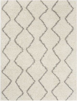 Surya Taza Shag TZS-2324 Area Rug main image