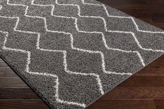 Surya Taza Shag TZS-2325 Area Rug Corner Shot