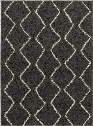 Surya Taza Shag TZS-2325 Area Rug main image