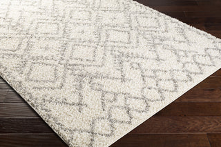 Surya Taza Shag TZS-2326 Area Rug Corner Shot