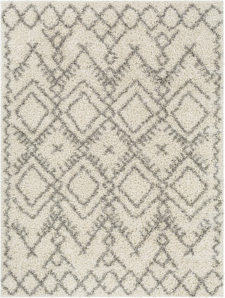 Surya Taza Shag TZS-2326 Area Rug main image