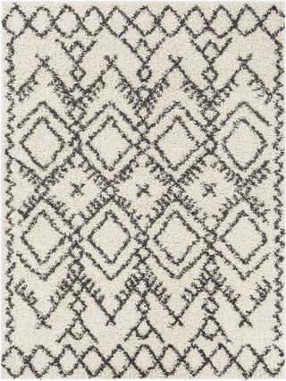 Surya Taza Shag TZS-2327 Area Rug main image