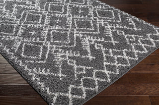 Surya Taza Shag TZS-2328 Area Rug Corner Shot