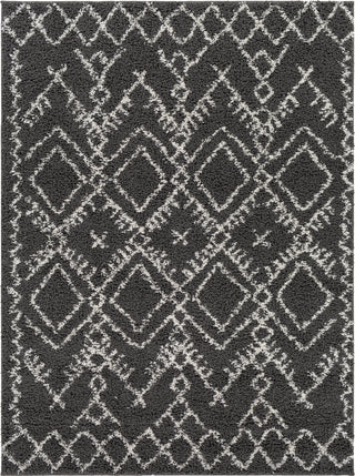 Surya Taza Shag TZS-2328 Area Rug main image