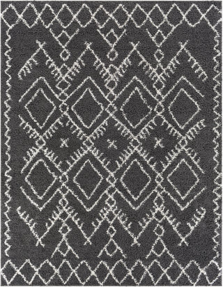 Surya Taza Shag TZS-2328 Area Rug Main Image