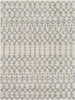 Surya Taza Shag TZS-2329 Area Rug main image
