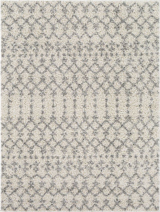 Surya Taza Shag TZS-2329 Area Rug main image