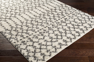 Surya Taza Shag TZS-2330 Area Rug Corner Shot