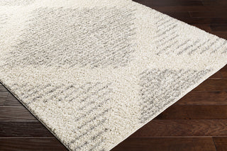 Surya Taza Shag TZS-2331 Area Rug Corner Shot