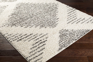 Surya Taza Shag TZS-2332 Area Rug Corner Shot