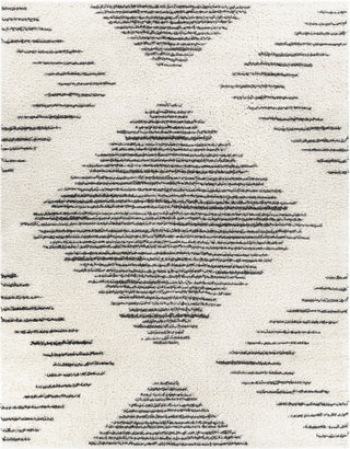 Surya Taza Shag TZS-2332 Area Rug Main Image