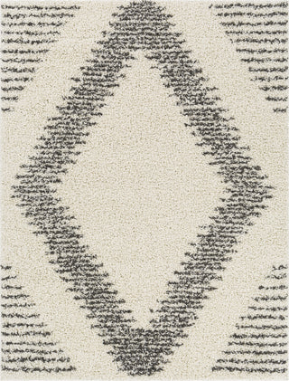 Surya Taza Shag TZS-2334 Area Rug main image