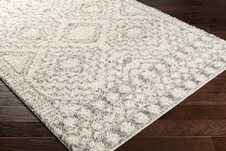 Surya Taza Shag TZS-2335 Area Rug Corner Shot