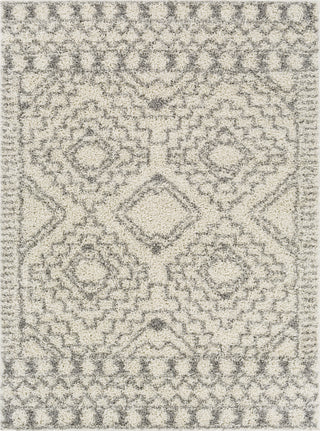 Surya Taza Shag TZS-2335 Area Rug main image