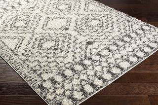 Surya Taza Shag TZS-2336 Area Rug Corner Shot