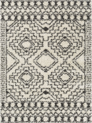 Surya Taza Shag TZS-2336 Area Rug main image