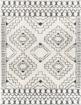 Surya Taza Shag TZS-2336 Area Rug Main Image