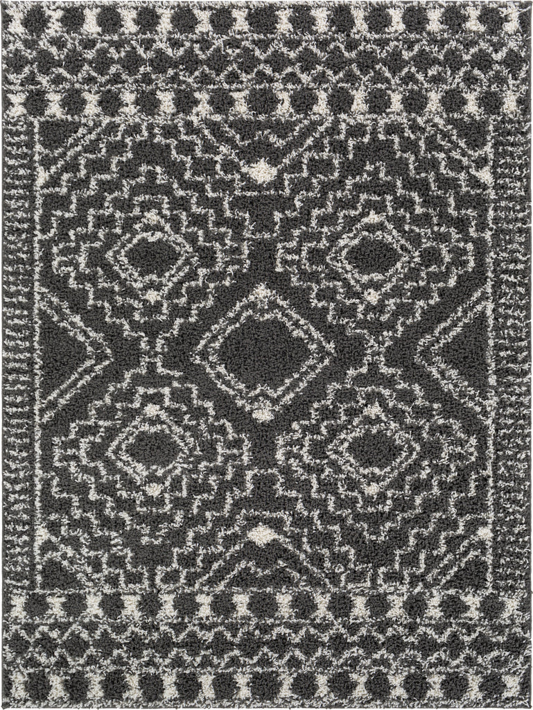 Surya Taza Shag TZS-2337 Area Rug main image