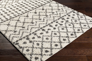 Surya Taza Shag TZS-2339 Area Rug Corner Shot