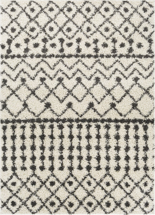 Surya Taza Shag TZS-2339 Area Rug main image