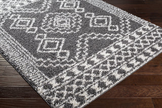 Surya Taza Shag TZS-2341 Area Rug Corner Shot
