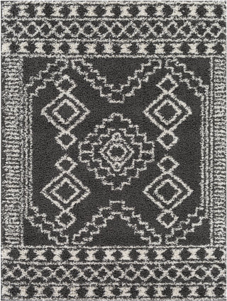 Surya Taza Shag TZS-2341 Area Rug main image