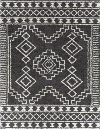 Surya Taza Shag TZS-2341 Area Rug Main Image