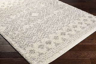 Surya Taza Shag TZS-2342 Area Rug Corner Shot