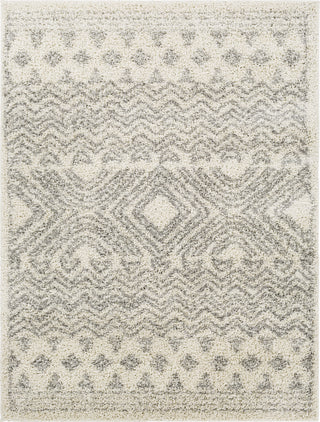 Surya Taza Shag TZS-2342 Area Rug main image