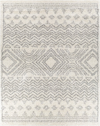 Surya Taza Shag TZS-2342 Area Rug Main Image