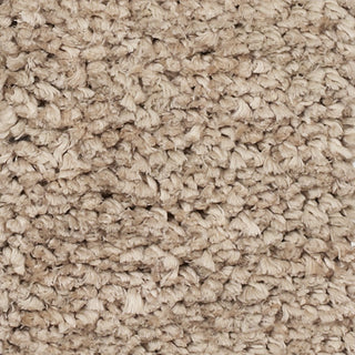KAS Urban 1402 Beige Shag Weave Area Rug 