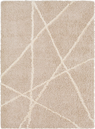 Surya Urban Shag USG-2301 Beige Cream Area Rug Mirror main image