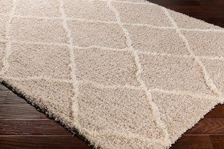 Surya Urban Shag USG-2302 Area Rug Corner Shot