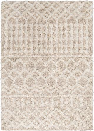 Surya Urban Shag USG-2303 Cream Beige Area Rug main image