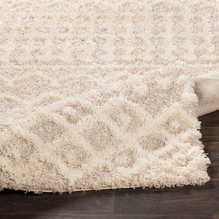 Surya Urban Shag USG-2303 Area Rug 