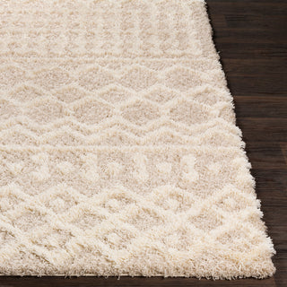 Surya Urban Shag USG-2303 Area Rug 