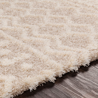 Surya Urban Shag USG-2303 Area Rug Detail