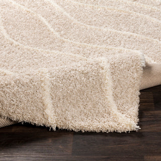 Surya Urban Shag USG-2304 Area Rug 