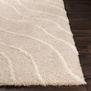 Surya Urban Shag USG-2304 Area Rug 