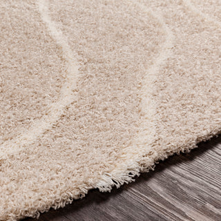 Surya Urban Shag USG-2304 Area Rug Detail