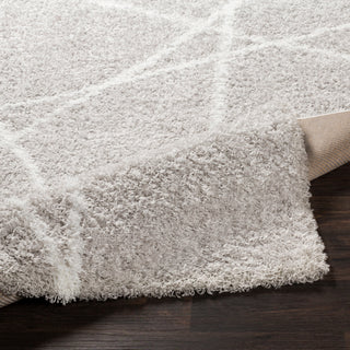 Surya Urban Shag USG-2305 Area Rug 