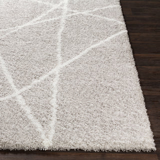 Surya Urban Shag USG-2305 Area Rug 